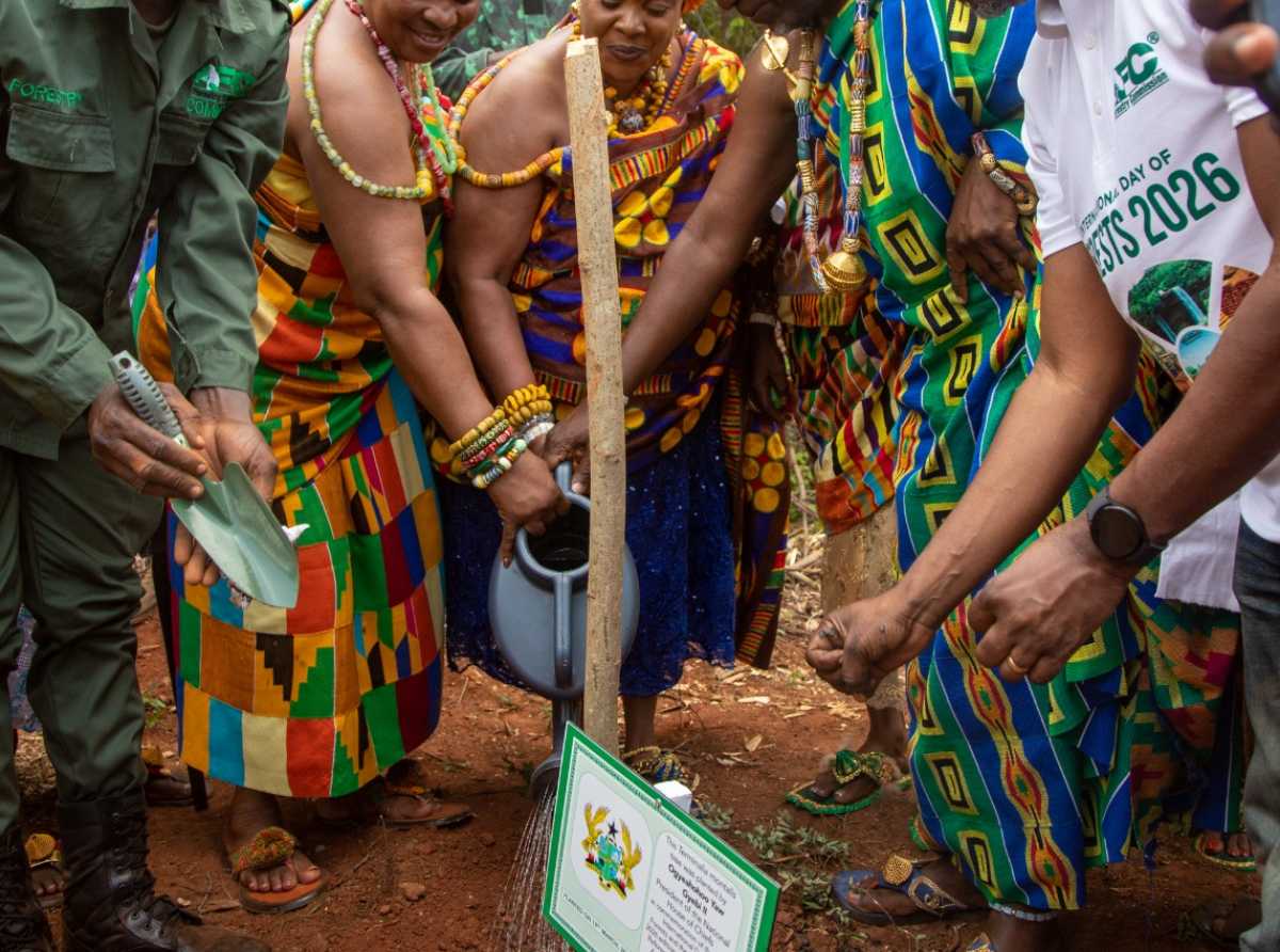 A Seedling is a Promise, a Tree is a Legacy" – Ghana Rebrands Forests as Economic Engines